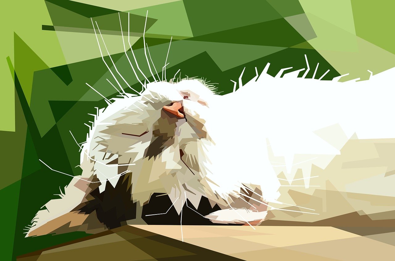 美邦引領(lǐng)時(shí)尚潮流新動(dòng)態(tài)，最新消息速遞