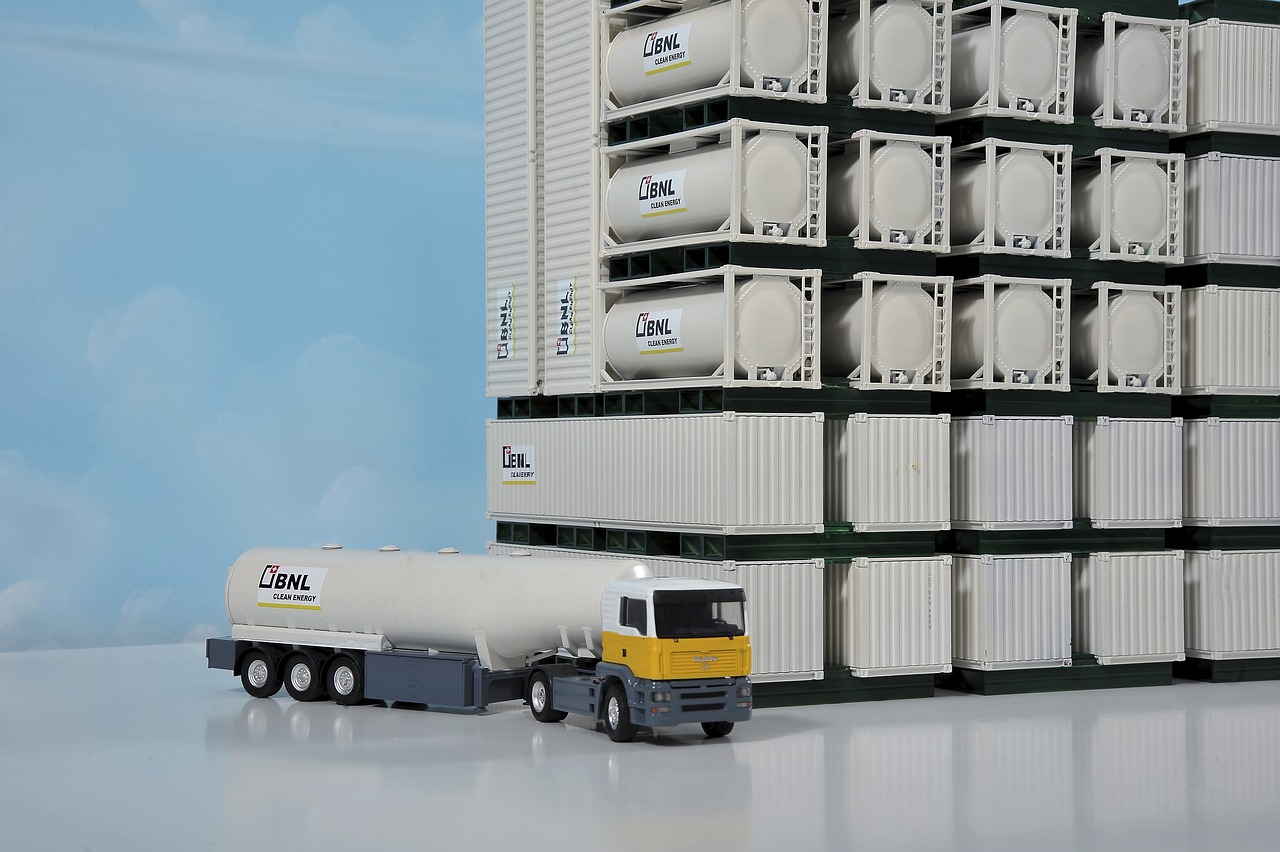 白洋淀搬遷最新規(guī)劃，重塑生態(tài)與發(fā)展共融的未來藍(lán)圖展望