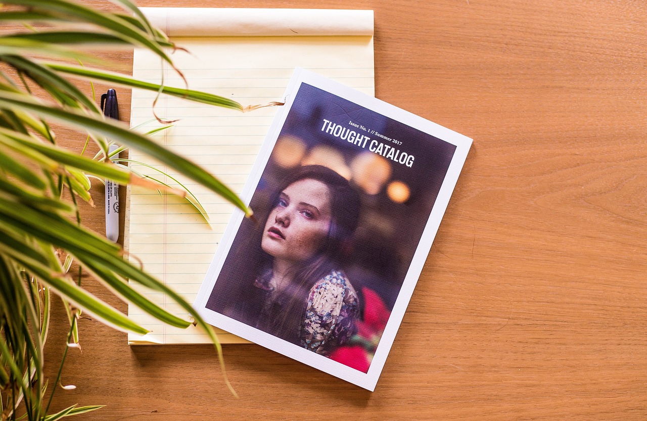 2024新澳正版資料最新更新，快速問題處理_界面版改版記5128.4997