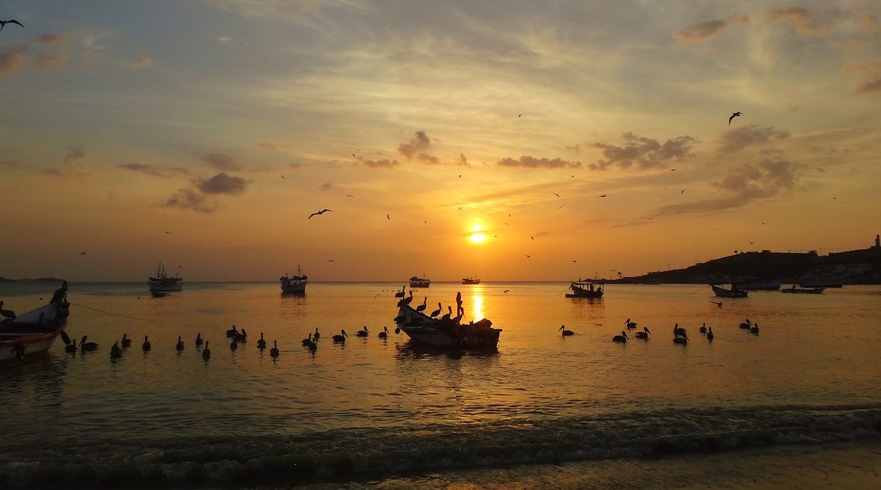 全球大豆市場(chǎng)動(dòng)態(tài)深度解析，聚焦美豆最新消息