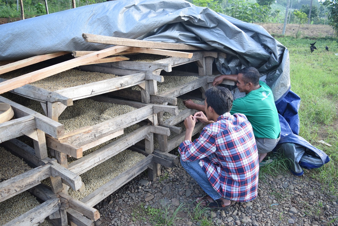 奉化勞動(dòng)力市場(chǎng)最新動(dòng)態(tài)及分析概覽