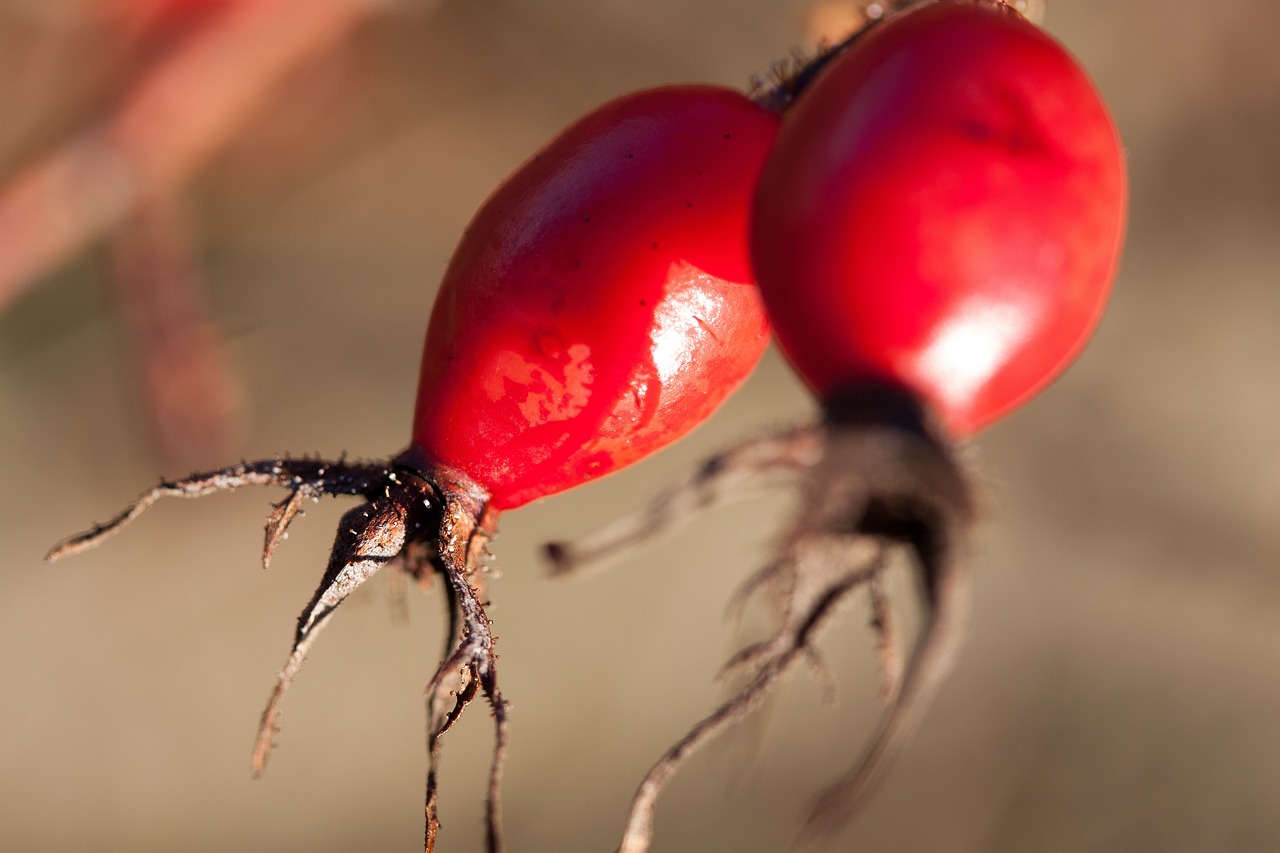 祝福紅城最新房價動態(tài)，實時更新，未來展望及購房指南