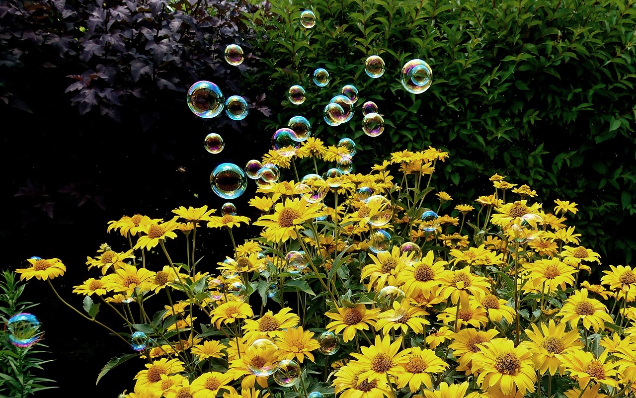 甜中書(shū) 第33頁(yè)