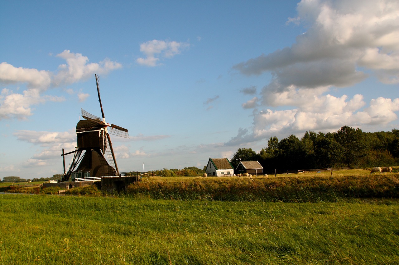 武昌古城改造最新動態(tài)，重塑歷史風貌，煥發(fā)新城活力