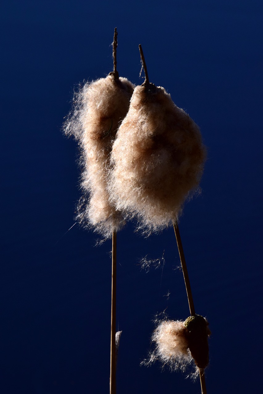 斯丹賽引領(lǐng)科技創(chuàng)新，塑造未來產(chǎn)業(yè)格局新動態(tài)