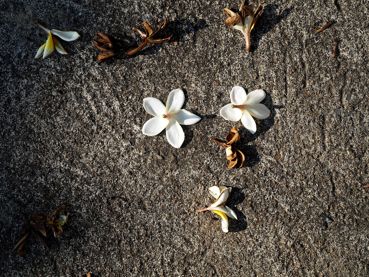 靖江并入無(wú)錫的最新動(dòng)態(tài)或消息更新