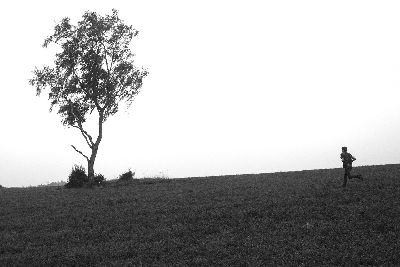 柯卡生最新消息揭秘，科技與健康領(lǐng)域的新動態(tài)探索