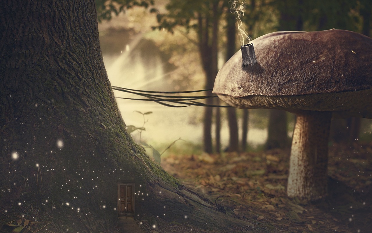 城管改革最新動(dòng)態(tài)，重塑城市管理新面貌