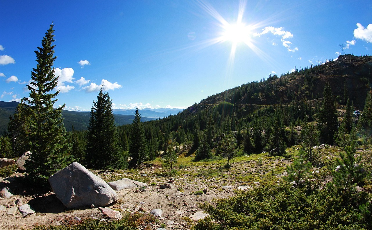 屺亭開(kāi)發(fā)區(qū)最新招工信息，招工動(dòng)態(tài)及其影響分析