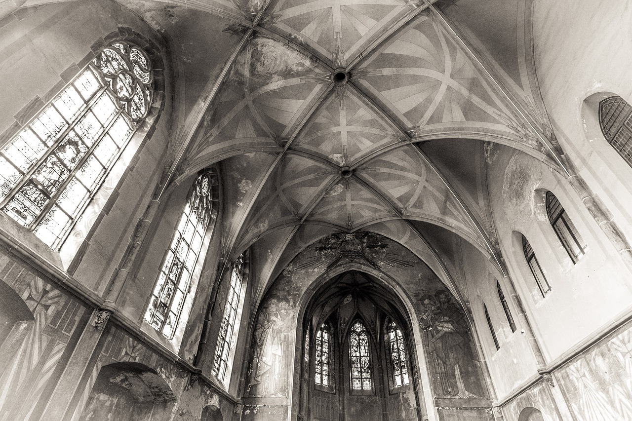 老虎直播二維碼最新動態(tài)，用戶體驗探討與最新進展