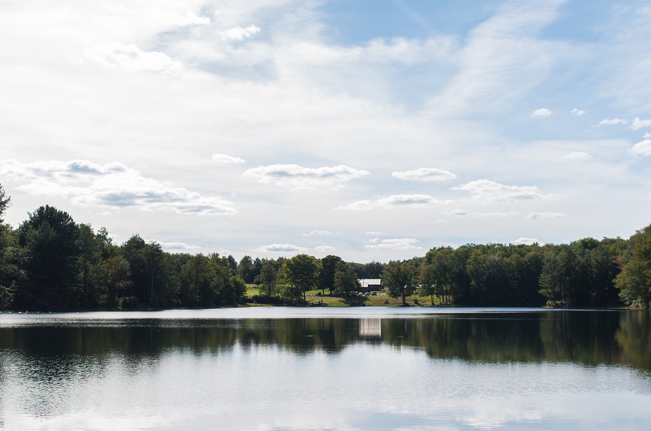 水西莊公園全新面貌揭秘，城市綠肺的最新消息