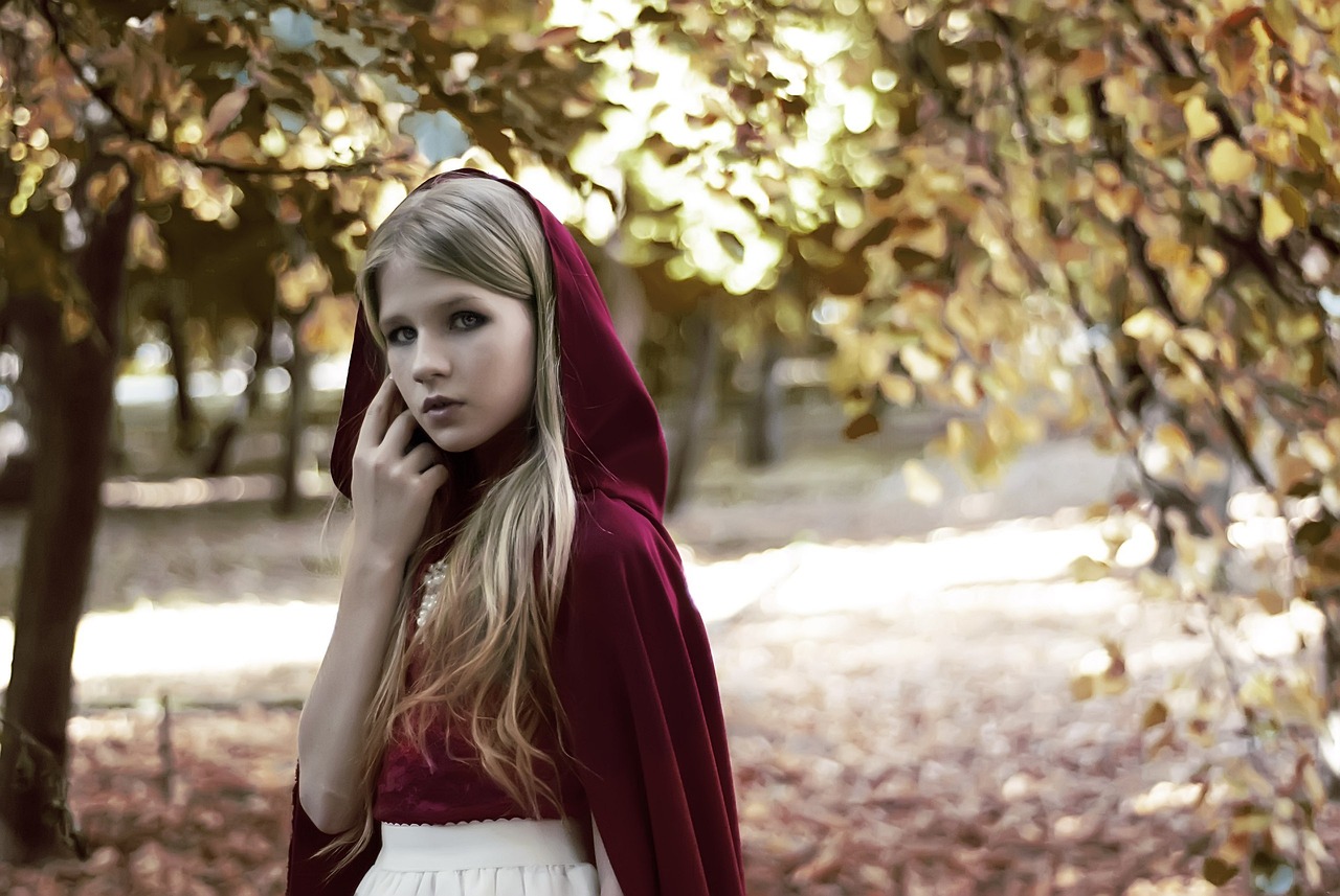 金最新韓劇，璀璨星光下的故事傳奇