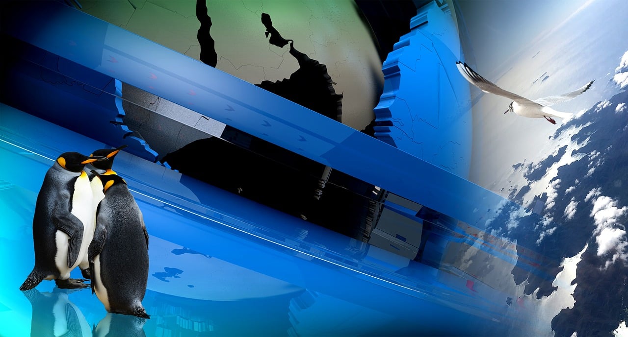 證監(jiān)會(huì)最新IPO名單揭示企業(yè)新力量與資本市場新動(dòng)態(tài)