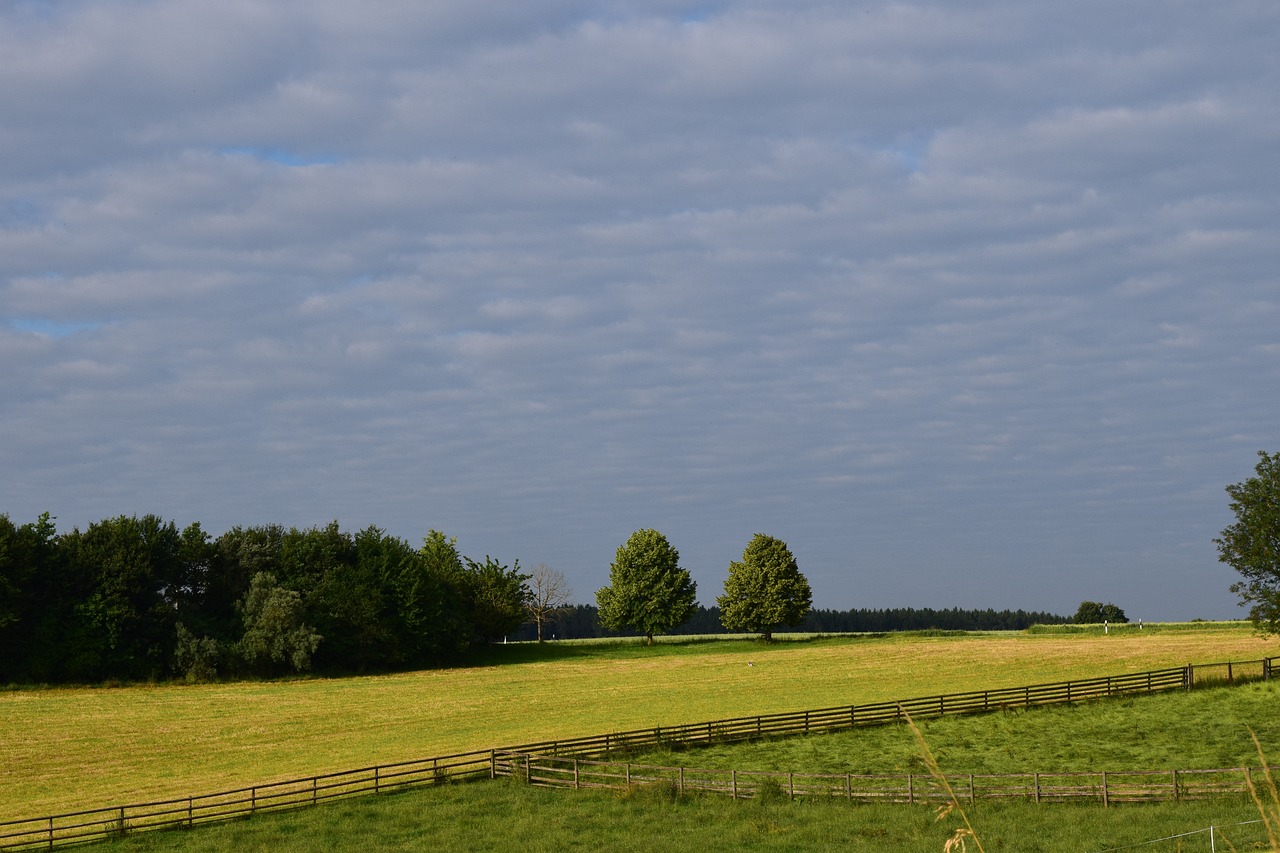 高旗的最新動態(tài)與成就概覽，最新資訊與成就一覽