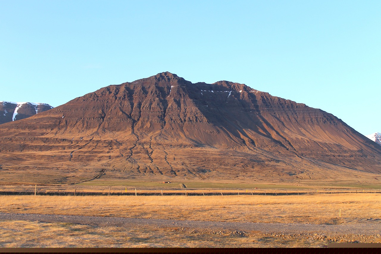 張慶軍最新動態(tài)，多重身份與輝煌成就揭秘