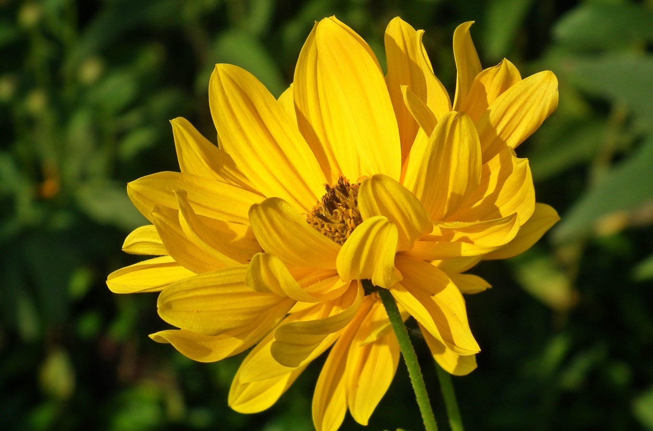 高明區(qū)最新人事任免動(dòng)態(tài)更新