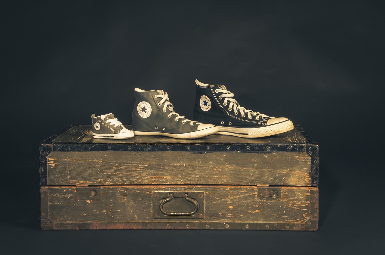 ST舜船最新動態(tài)全面解析