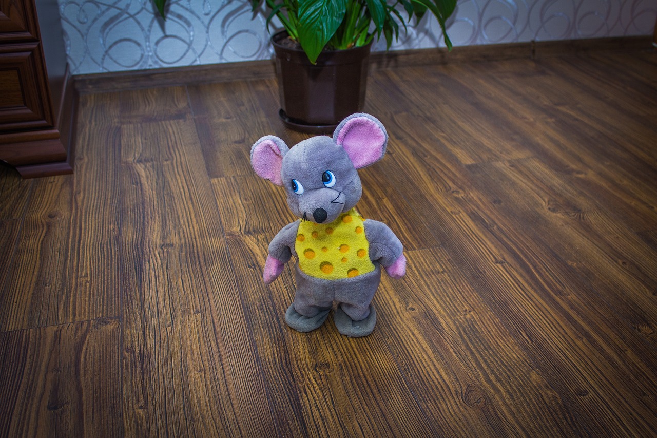 歡樂米粒兒全集最新版，開啟兒童娛樂新世界的探索之旅