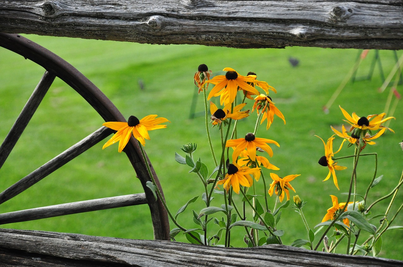 北五村改造最新動態(tài)，重塑社區(qū)，打造宜居環(huán)境