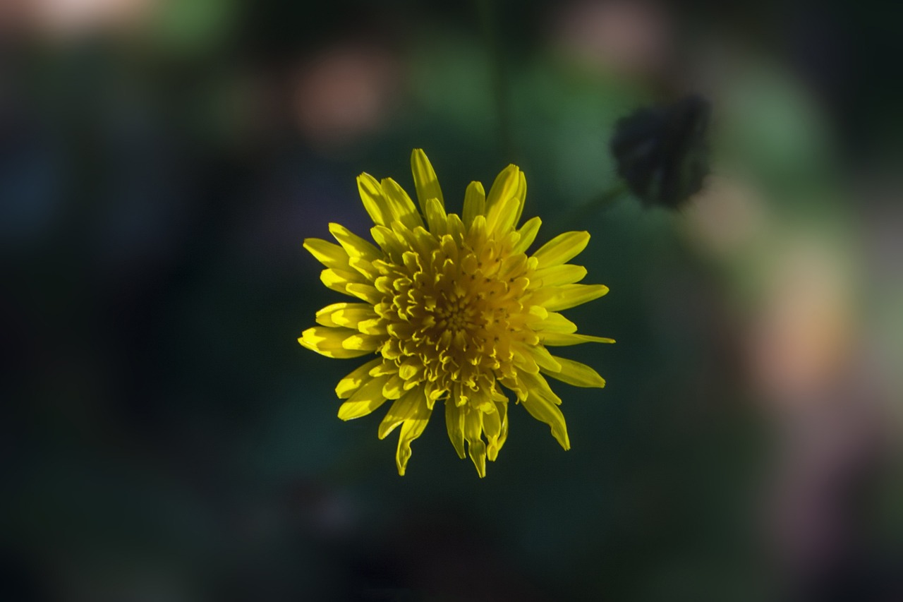 北京現(xiàn)代滄州工廠最新動(dòng)態(tài)深度解析