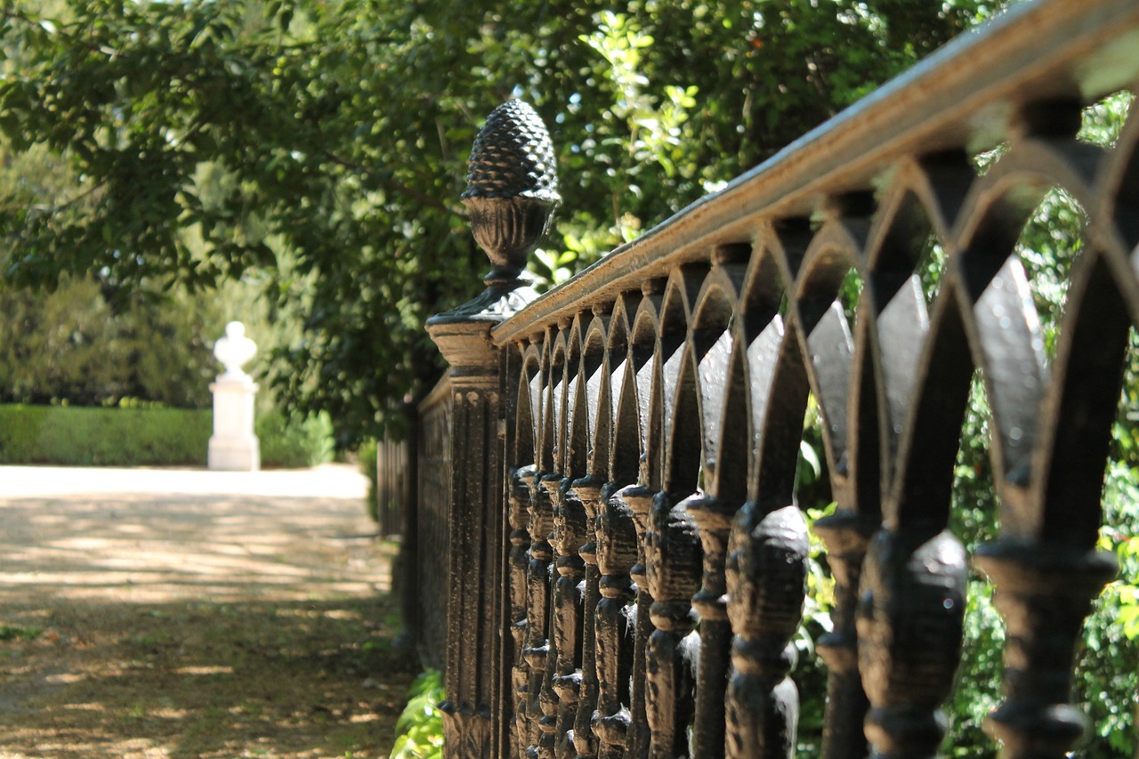 老民師最新動態(tài)與消息更新