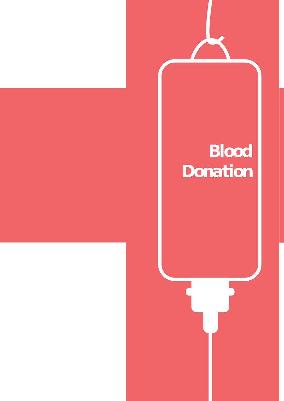 丹參最新價(jià)格動(dòng)態(tài)，市場(chǎng)影響分析與趨勢(shì)預(yù)測(cè)