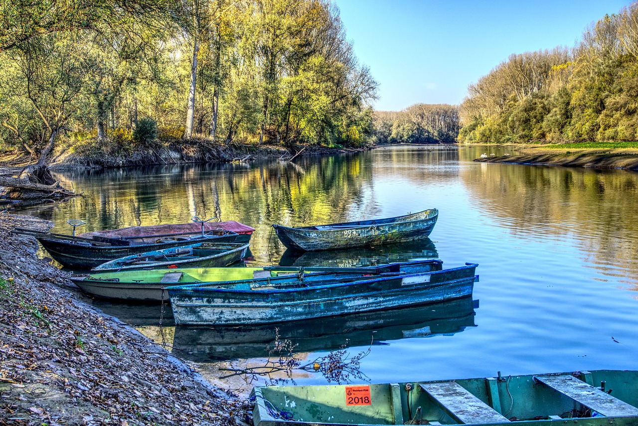 火影端最新動態(tài)深度解析與最新資訊