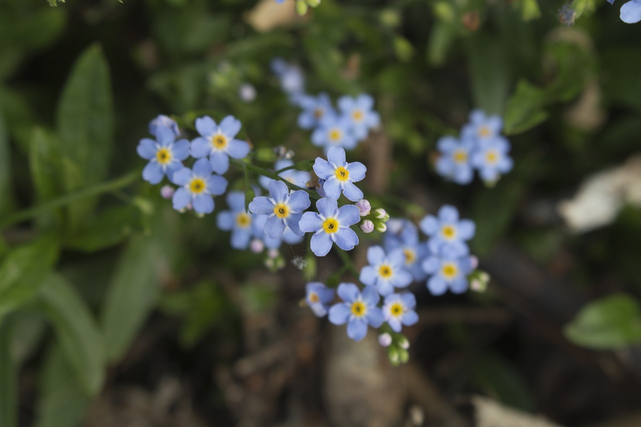 專利官費(fèi)最新動(dòng)態(tài)，影響及最新發(fā)展概述