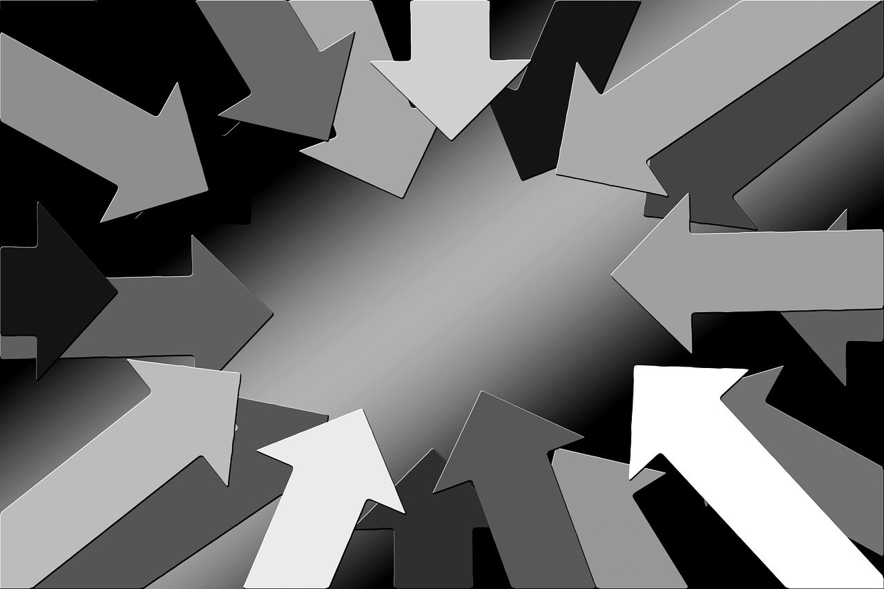 機構(gòu)最新持股動向深度解析及前景展望