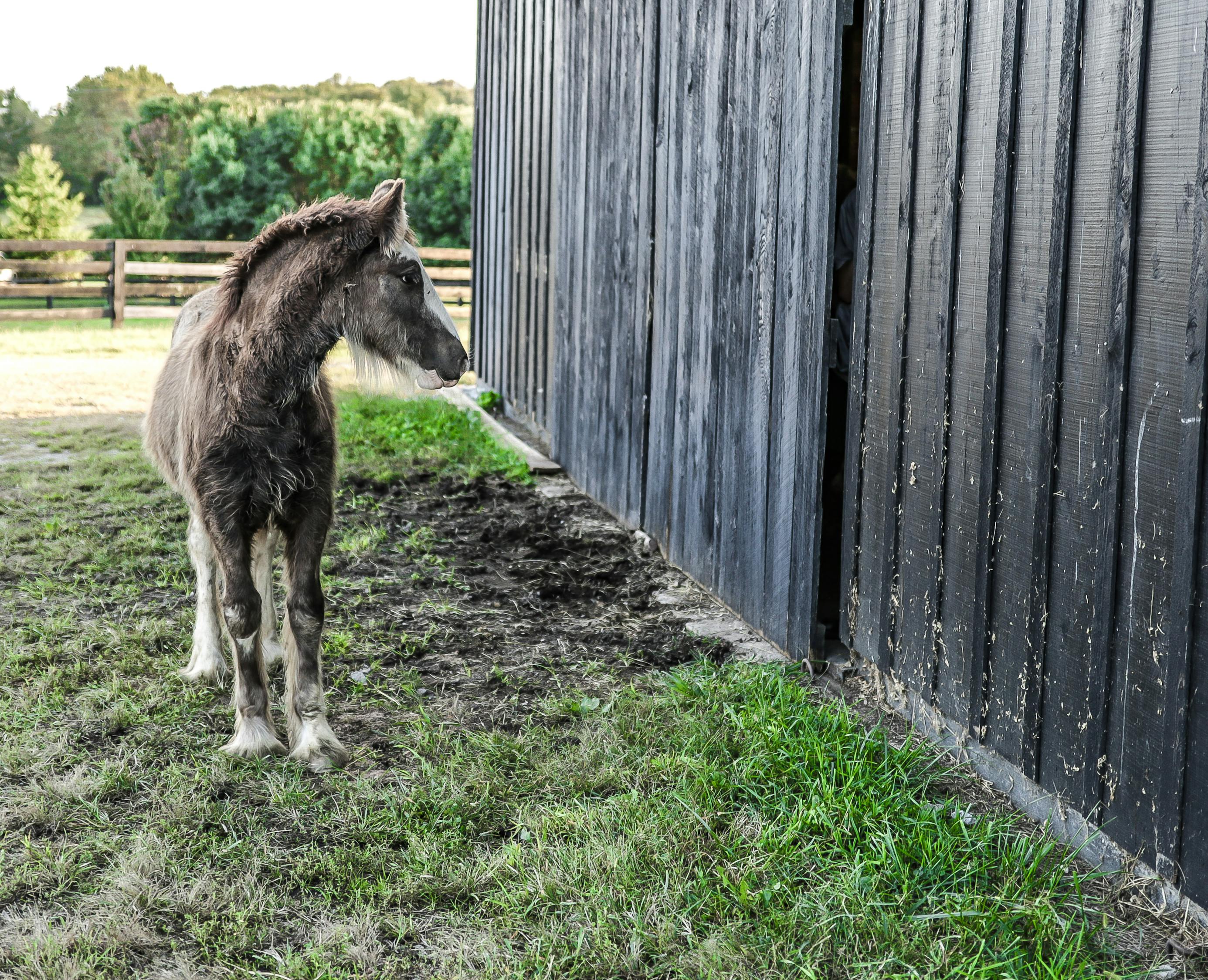丹東最新雨情動態(tài)，城市變遷與雨中情感交織
