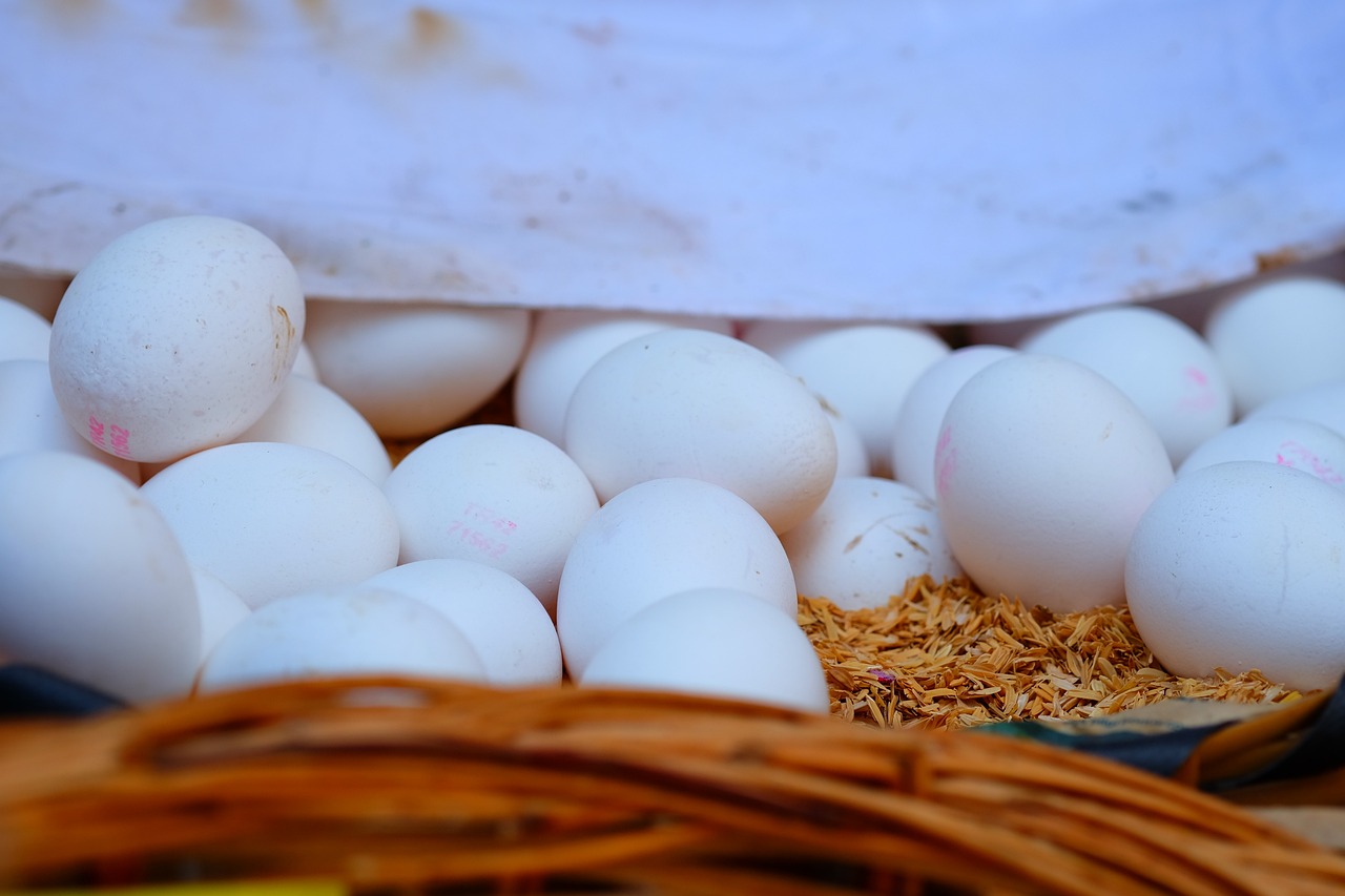 鈧最新價格動態(tài)分析與趨勢預(yù)測