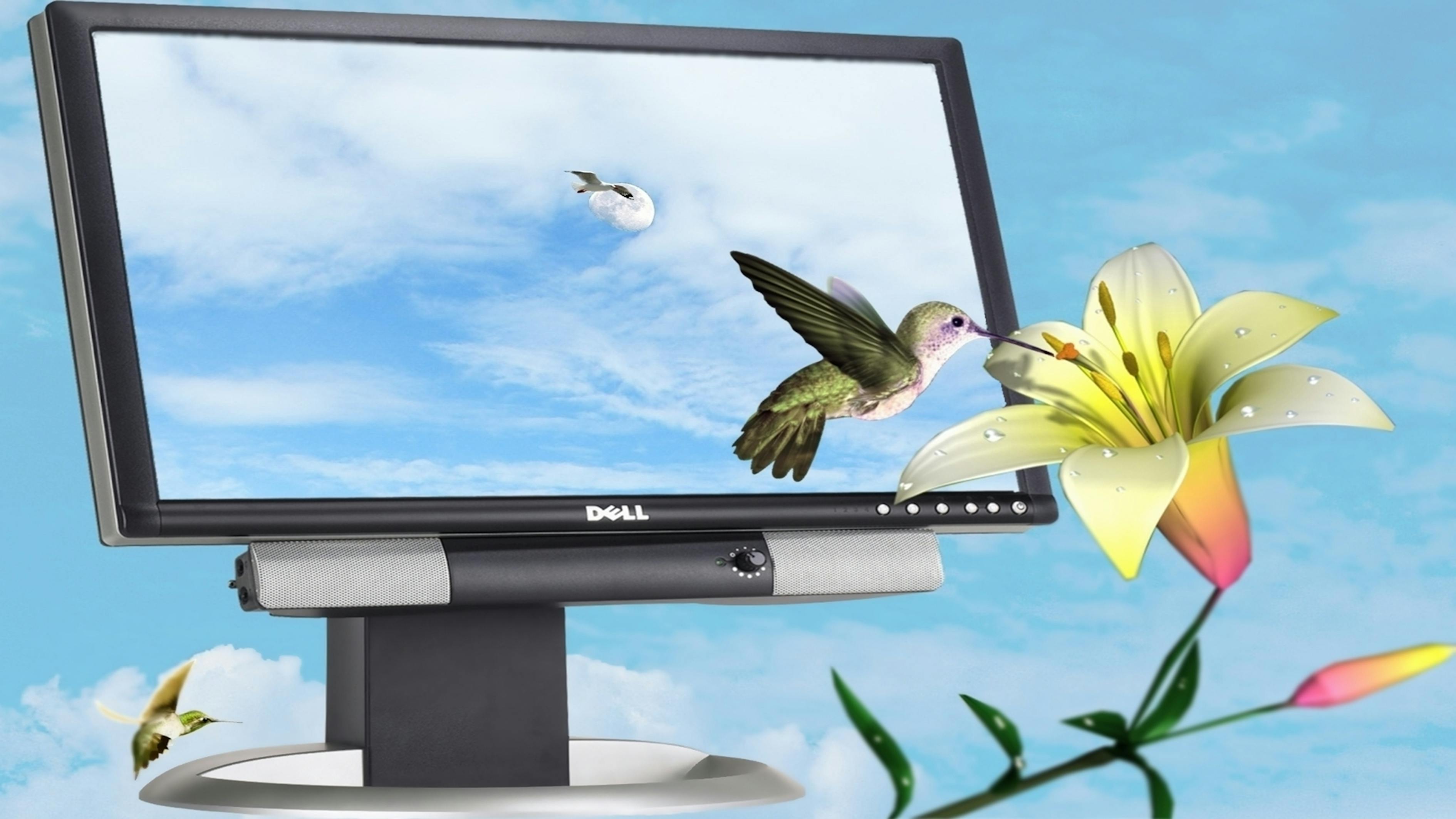 巨野新聞最新報道，縣域發(fā)展新動態(tài)與社會熱點深度解析