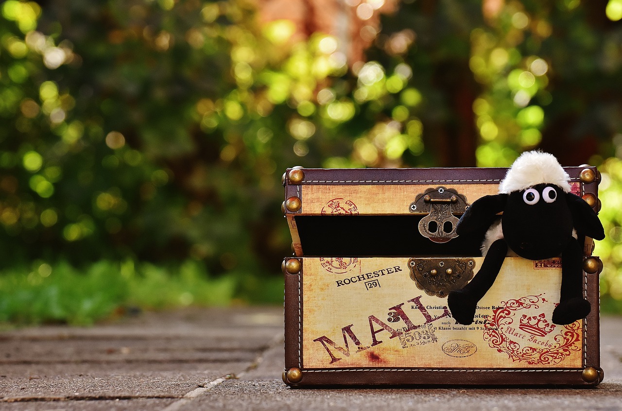 探索新領(lǐng)域，2017最新愛(ài)搞搞