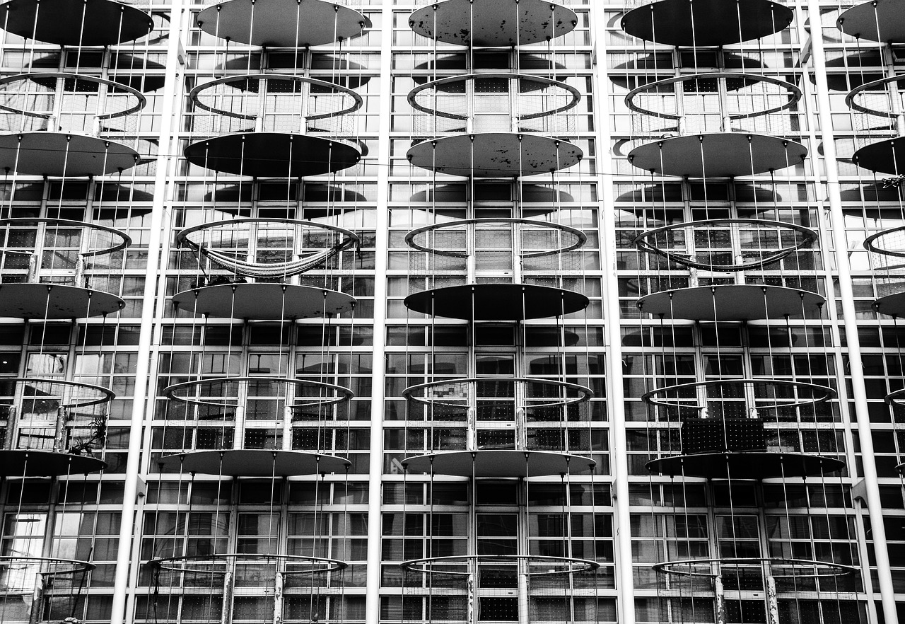 香芋最新價格分析與展望，未來趨勢解析