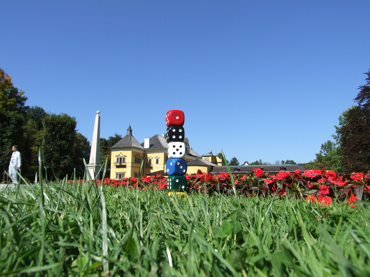 農(nóng)村最新項目，鄉(xiāng)村振興的新動力重磅來襲！