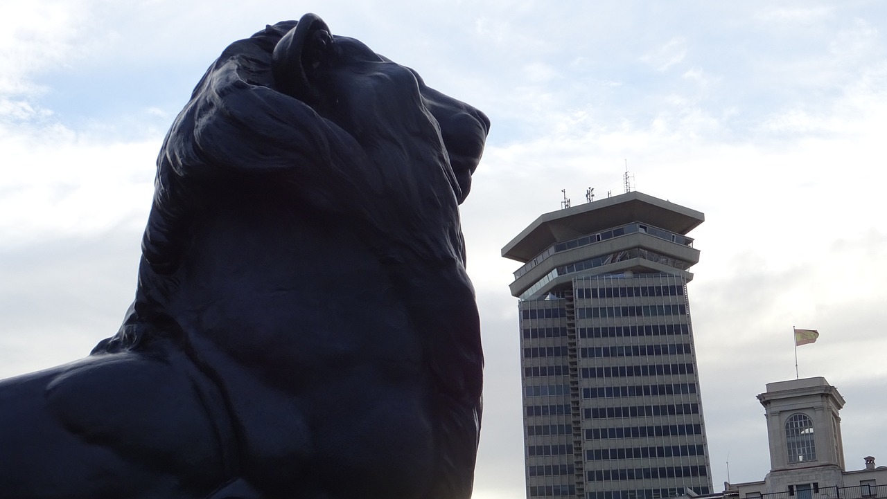 龍泉最新動(dòng)態(tài)，城市發(fā)展的脈搏與未來(lái)展望