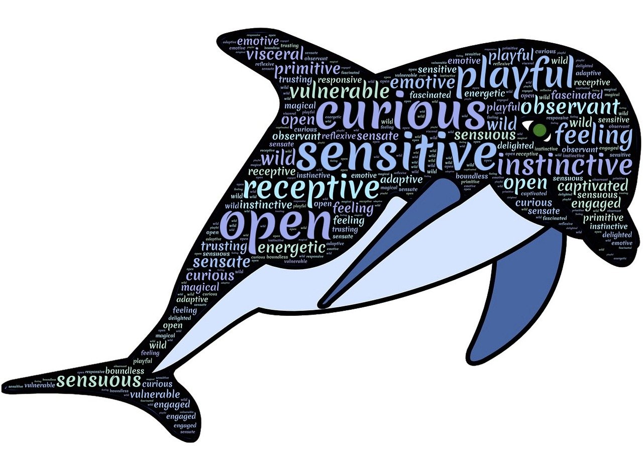 最新斗圖圖片，活力與樂(lè)趣的無(wú)限世界展現(xiàn)