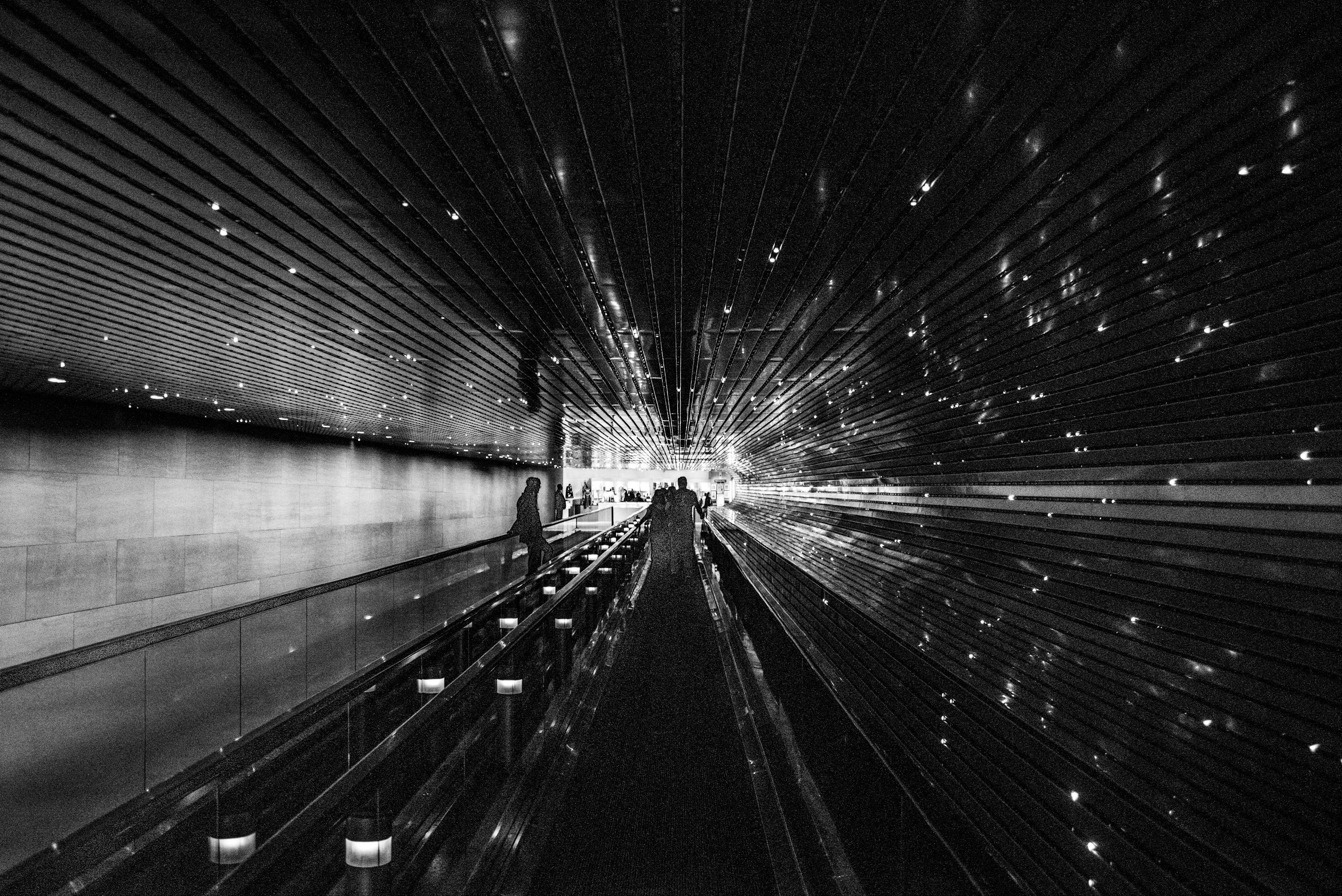 D市界新篇章，繁榮活力展望未來