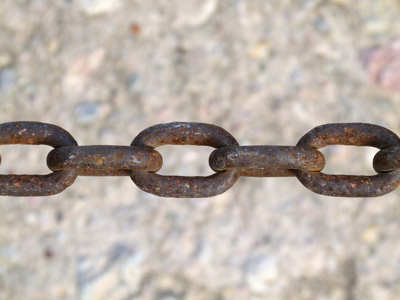 鐘山最新新聞動態(tài)報(bào)道速遞