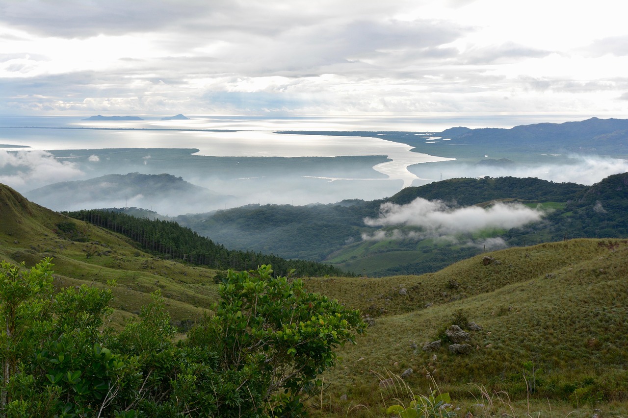 鉬鐵最新報(bào)價(jià)與市場(chǎng)動(dòng)態(tài)分析概覽